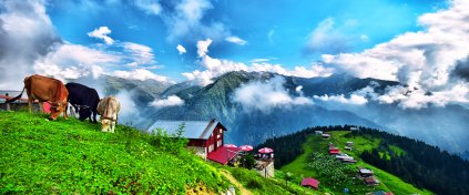 GÜNÜBİRLİK POKUT SAL HUSER YAYLASI TURU