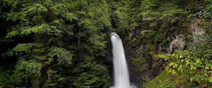 GÜNÜBİRLİK POKUT- SAL YAYLASI TURU