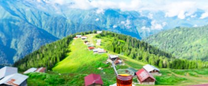 GÜNÜBİRLİK POKUT- SAL YAYLASI TURU